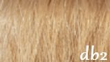 Great Hair weft 50 cm breed, 50 cm lang KL: DB2 - licht goudblond