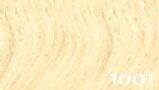 Di biase hairextensions stijl 55/60 cm KL: 1001