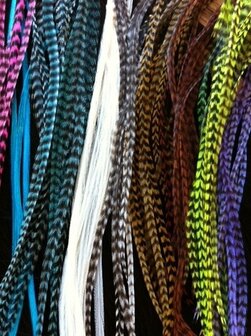 Losse feather extensions per 50 stuks