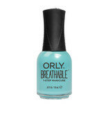 GIVE IT A SWIRL - ORLY BREATHABLE 18 ML