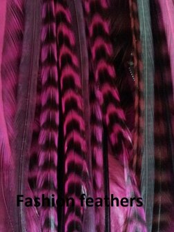 Feather bundel Mix Pink