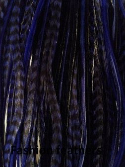 Feather bundel purple