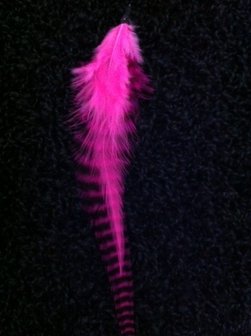 Feather kort pink