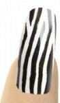 Zebra White and Black Animal Print (outlet)