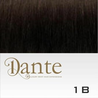 Dante Couture - Dante One Stroke Light 30 cm Kleur 1B Zwart Bruin 