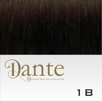 DS Full Head Clips In 42 cm Natural Straight #1B Zwart Bruin