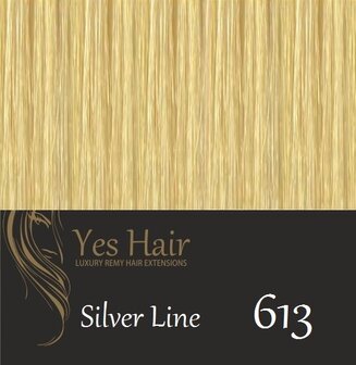 Yes Hair Simply Clips In 2 kleur 613