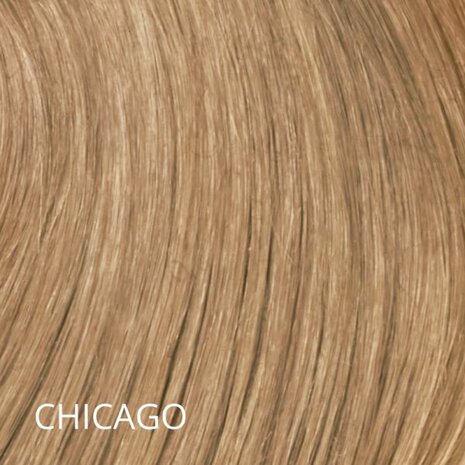 Balmain DoubleStyle Ponytail 30 cm Chicago
