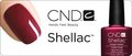 CND-Shellac