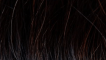 Great-Hair-extensions-30-cm-stijl-KL:-1-zwartbruin