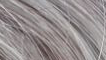 Great-Hair-Tape-Extensions-40-cm-kleur-1003-Grey-Ash