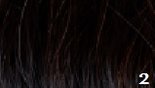 Great-Hair-Tape-Extensions-40-cm-kleur-2-donkerbruin