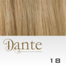 Fill-In-Dante-20-cm-kleur-18