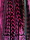 Feather-bundel-Mix-Pink