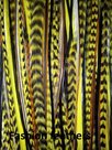 Feather-bundel-Mix-Yellow