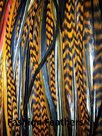Feather-bundel-Mix-Orange