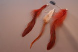 Feather-clips-in-Brown