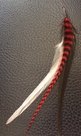 Pet-feather-rood