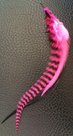 Pet-feather-roze