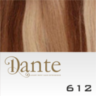 Dante-Full-Head-Clips-In-LIGHT-42-cm-Natural-Straight-kleur-612