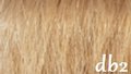 Great Hair Tape Extensions 40 cm kleur DB2 - licht goudblond 