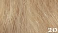 Great Hair Tape Extensions 50 cm kleur 20 - lichtblond