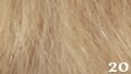 Great-Hair-Tape-Extensions-50-cm-kleur-20-lichtblond