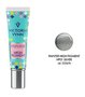 Victoria-Vynn-Painter-High-Pigment-HP01-Silver