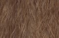 Invlecht-haar-Brilliant-Jumbo-kleur-10