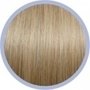 Euro SoCap hairextensions classic line 55/60 cm #DB3 Goudblond