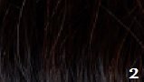 Great-Hair-weft-50-cm-breed-50-cm-lang-KL:-2-donkerbruin